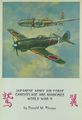 Japanese Army Air Force Camouflage And Markings World War II