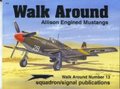 Allison Engined Mustangs Walk Around (# 13)