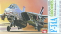 Grumman F-14 A (VF-111 Sundowners Squadron)