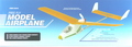 Free Fly Model Airplane