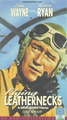 Flying Leathernecks