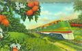 By "Streamliner" Thru Tropical Florida