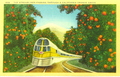 The Streamliner Passing Through A California Orange Grove