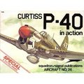 Curtiss P-40 In Action