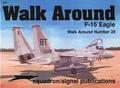 F-15 Eagle Walk Around (# 28)